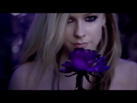 bscap0085 - Forbidden Rose - Comerciar TV Perfumes