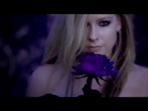 bscap0088 - Forbidden Rose - Comerciar TV Perfumes