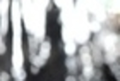 23748802_HSPEQFGFJ_004