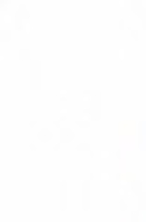 23748822_TDPCKLUCI_001 - puzzle cu joe jonas