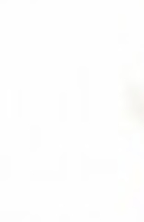 23748822_TDPCKLUCI_007