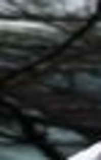 27281334_UQKKLOYHQ_001