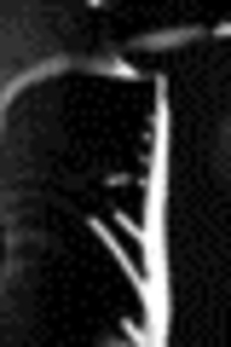 27281467_OHYFIOBWL_006