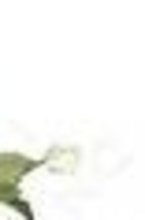 27281685_NRZCNBYFT_003