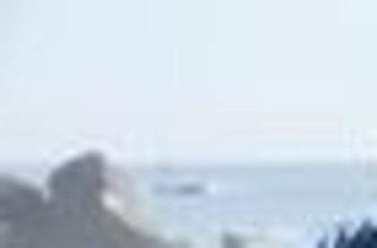 27282509_DLXIEPYIB_001