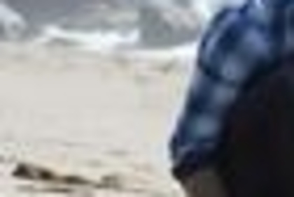 27282509_DLXIEPYIB_004