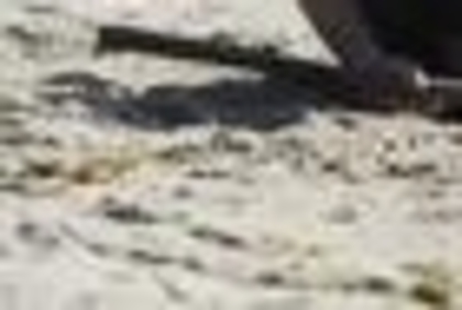 27282509_DLXIEPYIB_007