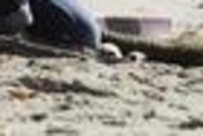 27282509_DLXIEPYIB_008