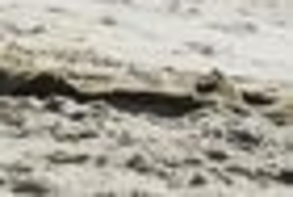 27282509_DLXIEPYIB_009