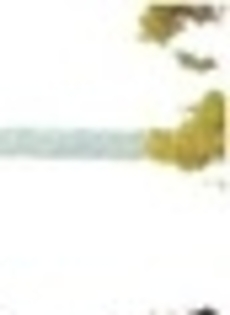 27282838_EJECLZIZH_003 - puzzle cu joe jonas