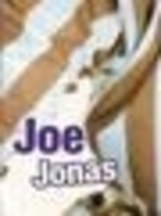 27282898_LBKCKAAMD_007 - puzzle cu joe jonas