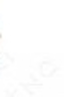 27283039_YIIRXGHCN_003