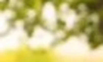 27284932_HMYLDAHJA_007