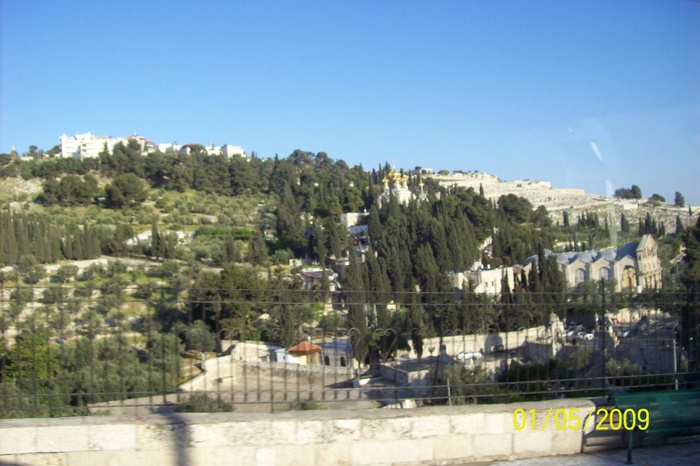 COLINA DE PE MUNTELE MASLINILOR IERUSALIM.. - ISRAEL TARA SFANTA
