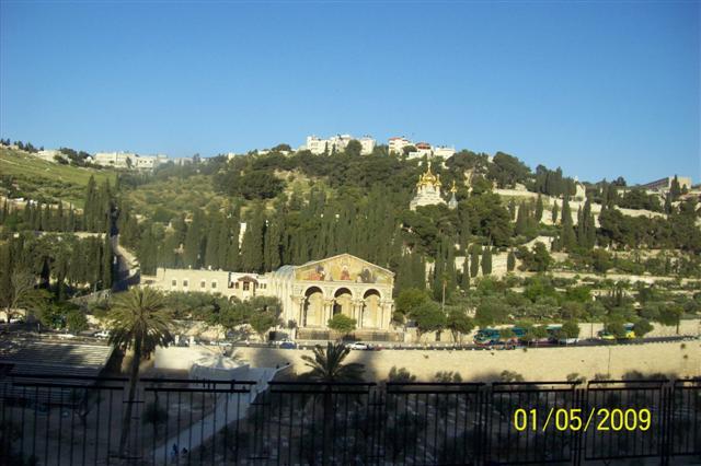 MUNTELE MASLINILOR DIN IERUSALIM SE VEDE BISERICA RUSA UNDE ESTE MORMANTUL MARIEI MAGDALENA .. (Smal