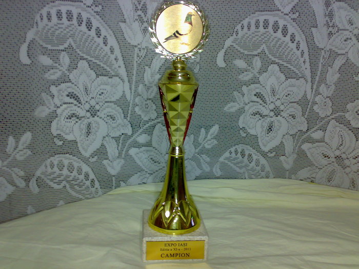 17022011317 - Diplome si trofee