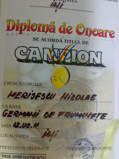 17022011326 - Diplome si trofee