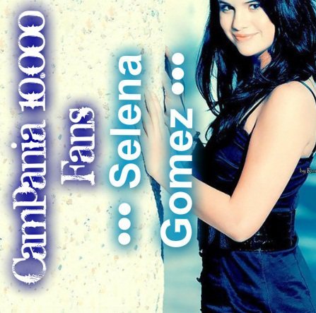 34790_138460952876249_119049044817440_183062_3169499_n