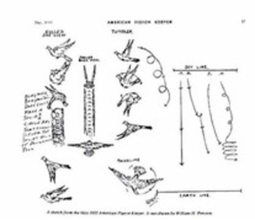 schema jocului - Rolleri de birmingham vanduti