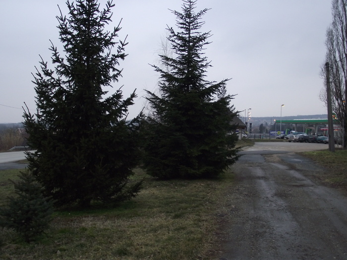 DSCF0195 - poze ungaria