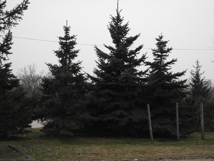 DSCF0202 - poze ungaria