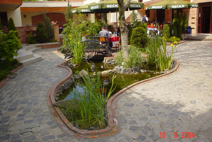lucmmusete01