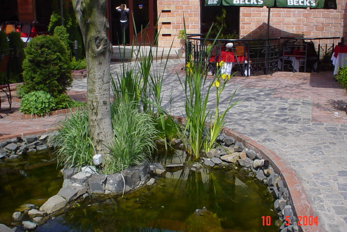 lucmusete07
