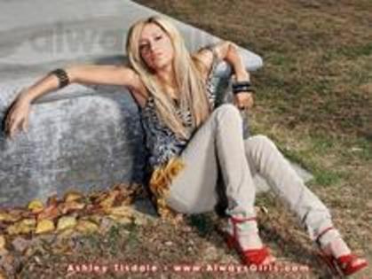 31376679_ETYAFDMAE