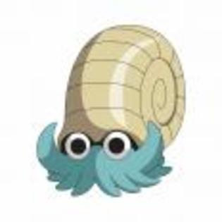 Pok_mon_1255682157_4_1998 - ZzZ-Pokemon-ZzZ