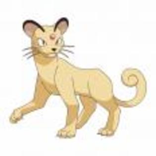 Pok_mon_1255682175_3_1998 - ZzZ-Pokemon-ZzZ