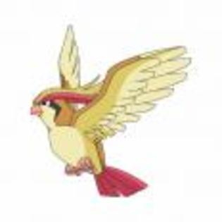 Pok_mon_1255682190_1_1998 - ZzZ-Pokemon-ZzZ