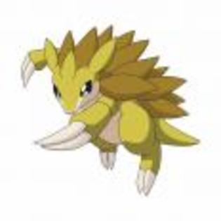 Pok_mon_1255682191_2_1998 - ZzZ-Pokemon-ZzZ