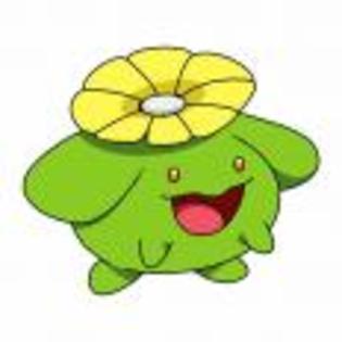 Pok_mon_1255682191_3_1998 - ZzZ-Pokemon-ZzZ