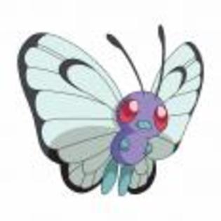 Pok_mon_1255682244_2_1998 - ZzZ-Pokemon-ZzZ