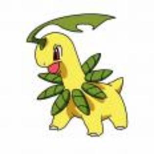 Pok_mon_1255682259_0_1998 - ZzZ-Pokemon-ZzZ