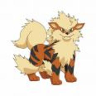 Pok_mon_1255682274_1_1998 - ZzZ-Pokemon-ZzZ