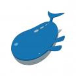 Pok_mon_1255682275_4_1998 - ZzZ-Pokemon-ZzZ