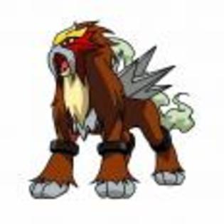 Pok_mon_1255682295_2_1998 - ZzZ-Pokemon-ZzZ