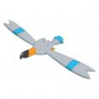 Pok_mon_1255682295_3_1998 - ZzZ-Pokemon-ZzZ