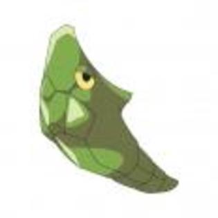 Pok_mon_1255682385_0_1998 - ZzZ-Pokemon-ZzZ