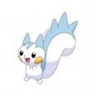Pok_mon_1255682433_3_1998 - ZzZ-Pokemon-ZzZ