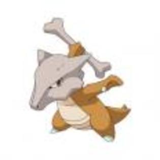 Pok_mon_1255698449_0_1998 - ZzZ-Pokemon-ZzZ