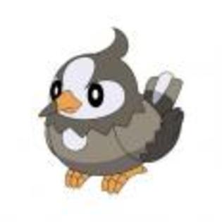 Pok_mon_1255698504_2_1998 - ZzZ-Pokemon-ZzZ