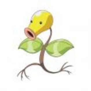Pok_mon_1255698504_3_1998 - ZzZ-Pokemon-ZzZ