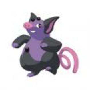 Pok_mon_1255698517_0_1998 - ZzZ-Pokemon-ZzZ