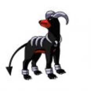 Pok_mon_1255698542_1_1998 - ZzZ-Pokemon-ZzZ