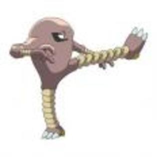 Pok_mon_1255698542_4_1998 - ZzZ-Pokemon-ZzZ