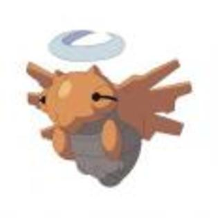 Pok_mon_1255698569_2_1998 - ZzZ-Pokemon-ZzZ