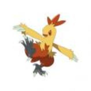Pok_mon_1255750259_0_1998 - ZzZ-Pokemon-ZzZ