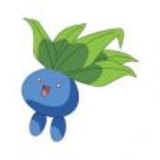 Pok_mon_1255750272_1_1998 - ZzZ-Pokemon-ZzZ